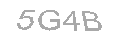 Güvenlik Kodu
