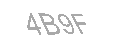 Güvenlik Kodu