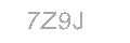 Güvenlik Kodu